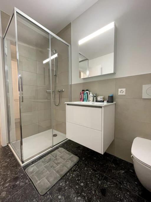 Five Stars Comfort Apartment Lugano Near The Lake Eksteriør billede
