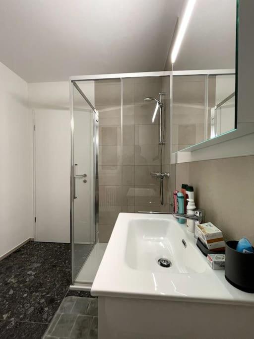Five Stars Comfort Apartment Lugano Near The Lake Eksteriør billede