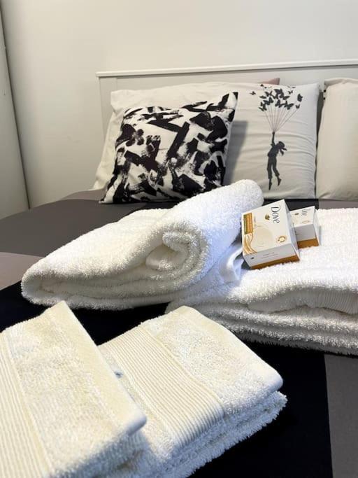 Five Stars Comfort Apartment Lugano Near The Lake Eksteriør billede