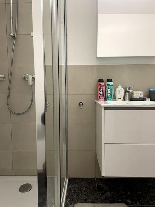 Five Stars Comfort Apartment Lugano Near The Lake Eksteriør billede