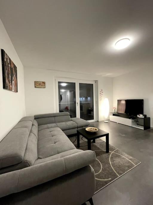 Five Stars Comfort Apartment Lugano Near The Lake Eksteriør billede