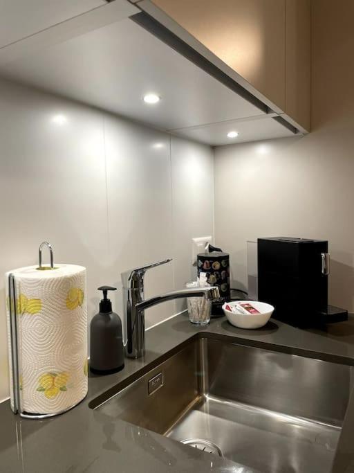 Five Stars Comfort Apartment Lugano Near The Lake Eksteriør billede